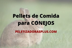 pellet alimento para conejos